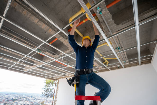 Best Sewer Line Repair  in Wanatah, IN